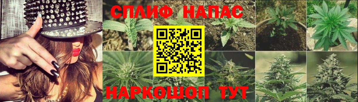 МАРИХУАНА ГИДРОПОН  Конопля план  Конопля Bruce Banner  Вышний Волочёк  Марихуана марихуана  Вход с VPN 